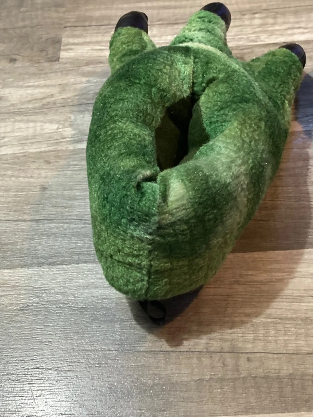 Dino slippers